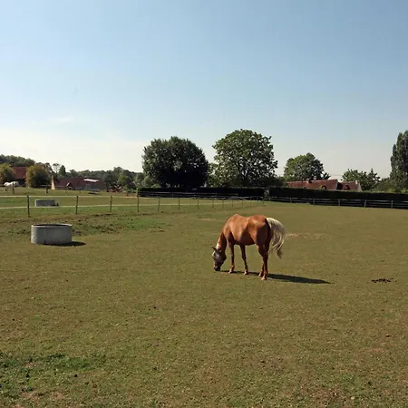 Maison Renovee En Foret Avec Jardin, Animaux Admis, Wifi - Fr-1-497-236