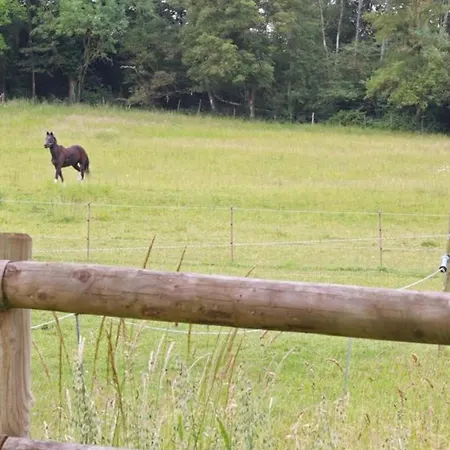 Dom wakacyjny Maison Renovee En Foret Avec Jardin, Animaux Admis, Wifi - Fr-1-497-236 *