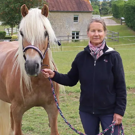 Maison Renovee En Foret Avec Jardin, Animaux Admis, Wifi - Fr-1-497-236 * Gouffern en Auge